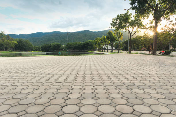 Best Best Driveway Pavers  in Sunnyvale, TX